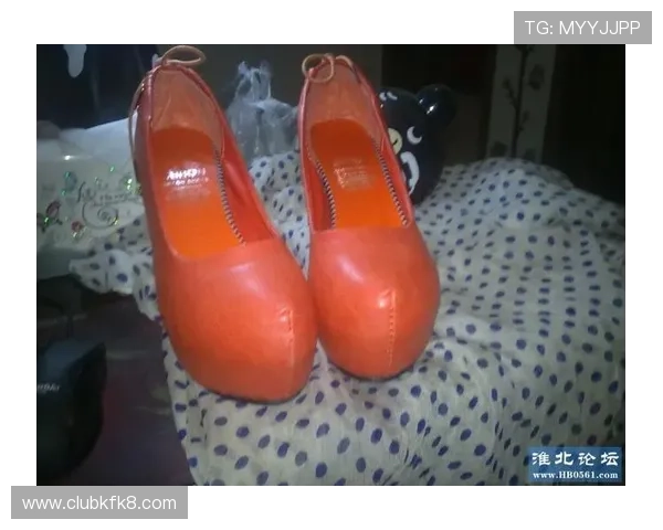 凯发娱乐的网址最新入口及安全登录指南帮助玩家顺利进入官方平台