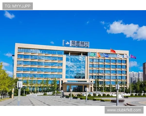 k8凯发(中国)天生赢家:分析其在中国电竞与体育博彩领域的布局与合作机会 k8凯发(中国)天生赢家:分析其在中国电竞与体育博彩领域的布局与合作机会